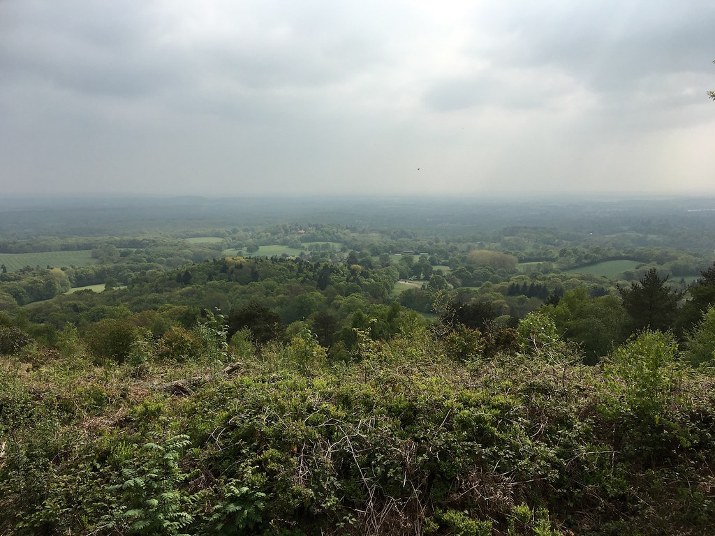 Photos Holmwood to Shamley Green Walk SWC