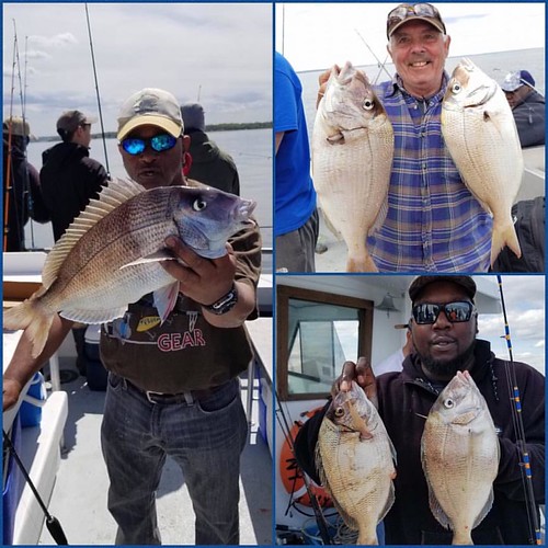 Sound Bound Fishing ⚓️ New Rochelle, NY The Sound Bound ll