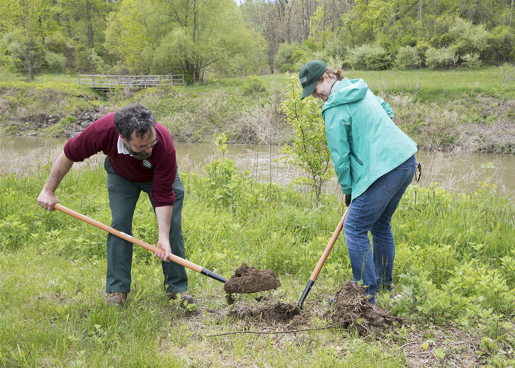 TreesForTribs963 Trees for Tribs 100,000th Tree Planting NYS DEC