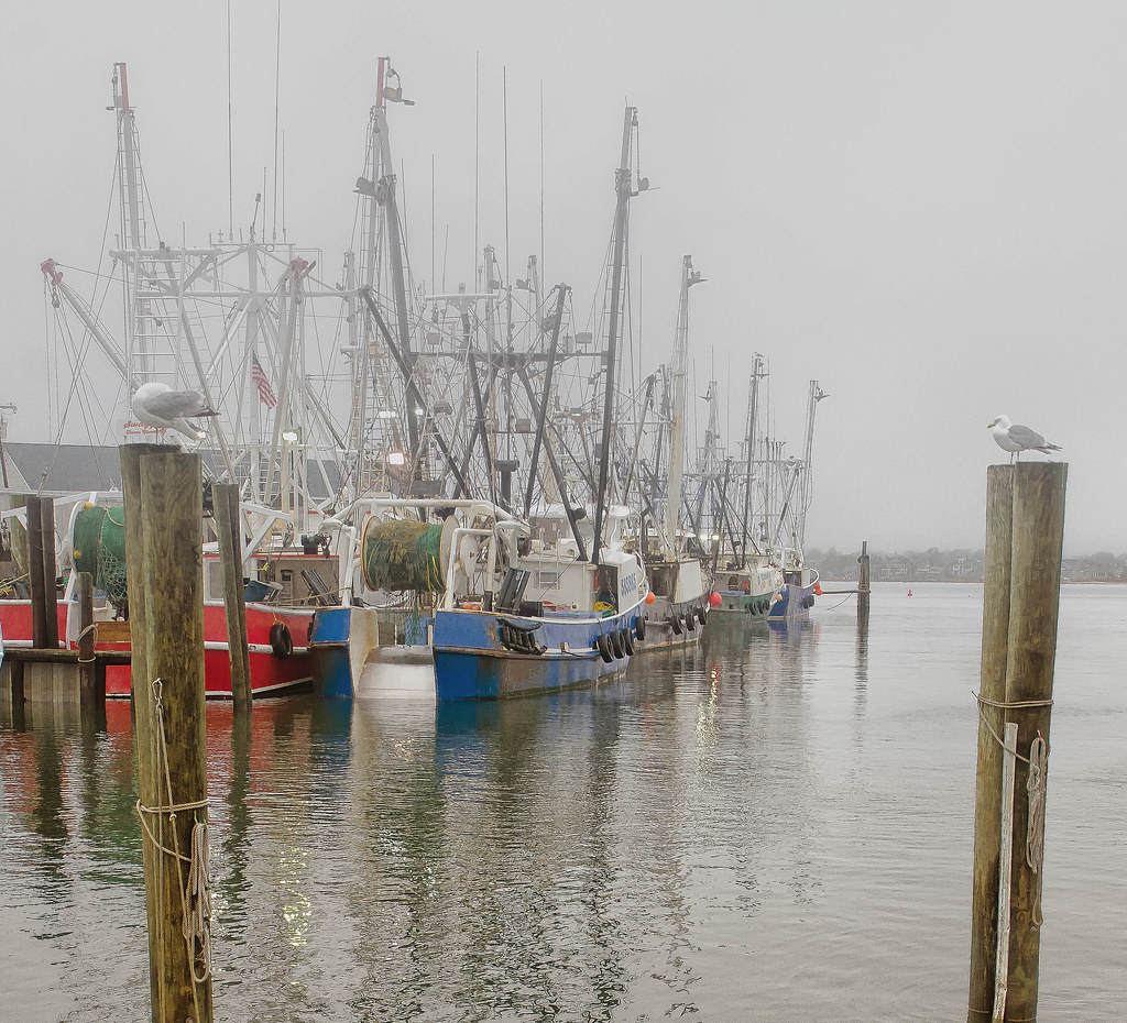 Point Pleasant Fishing Fleet Point Pleasant New Jersey Flickr