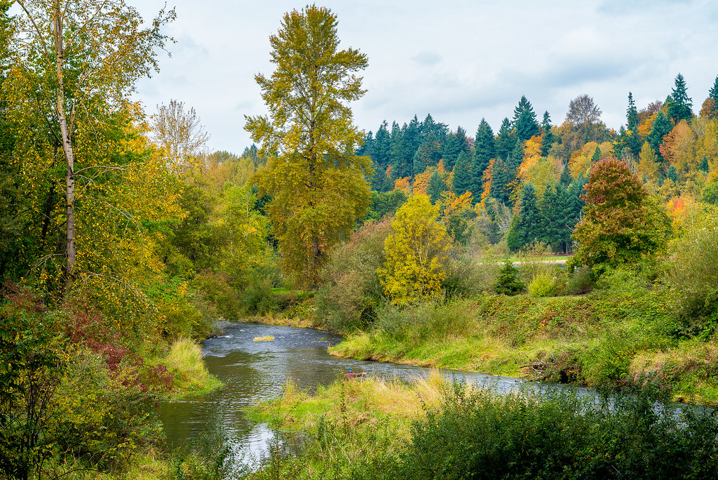 Salmon Creek Salmon Creek Park Vancouver, Washington DL Photo Flickr