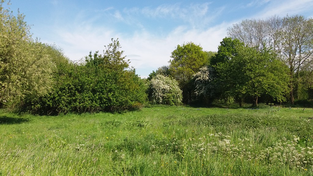 SherfieldonLoddon, Basingstoke Flickr