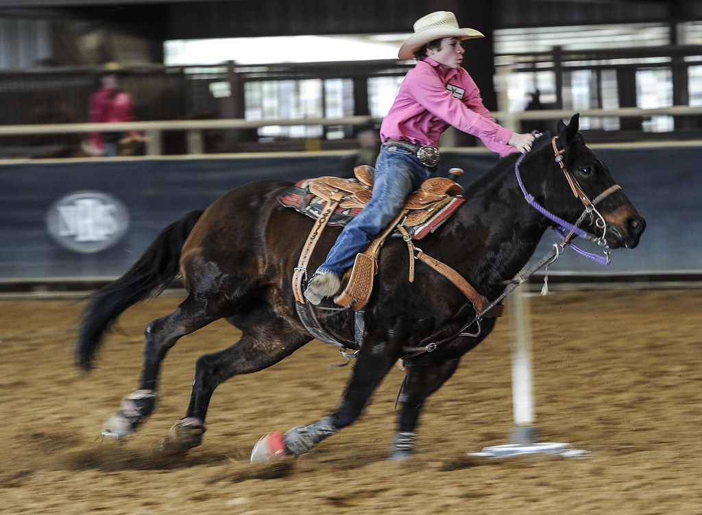 Wise county youth fair 2014 (702 of 129) Joe Duty Flickr