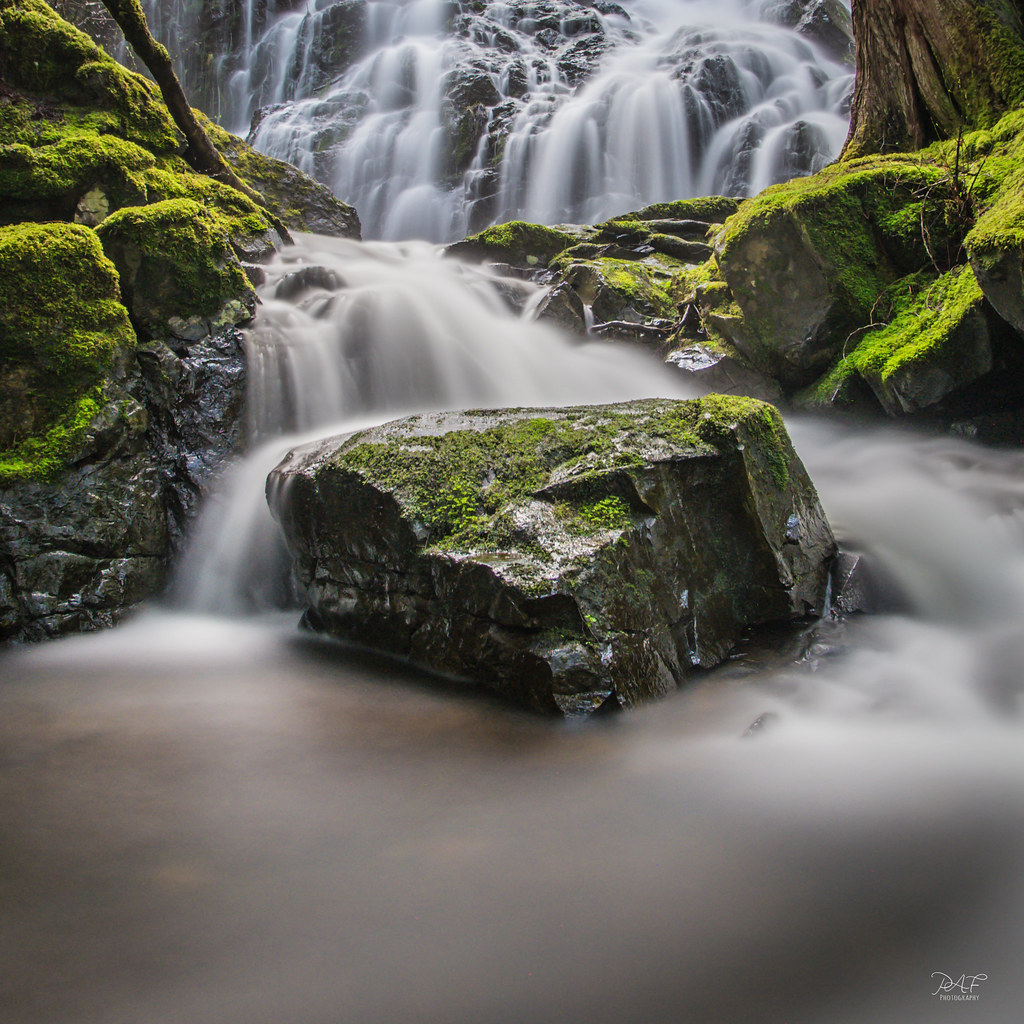 Elevation of Sooke Lake Rd, Shawnigan Lake, BC V0R 2W3, Canada