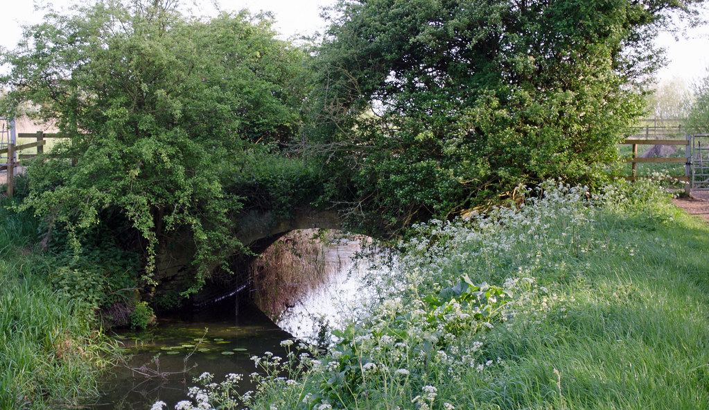 DSC_0029 Dry Drayton Lakes peterhala Flickr