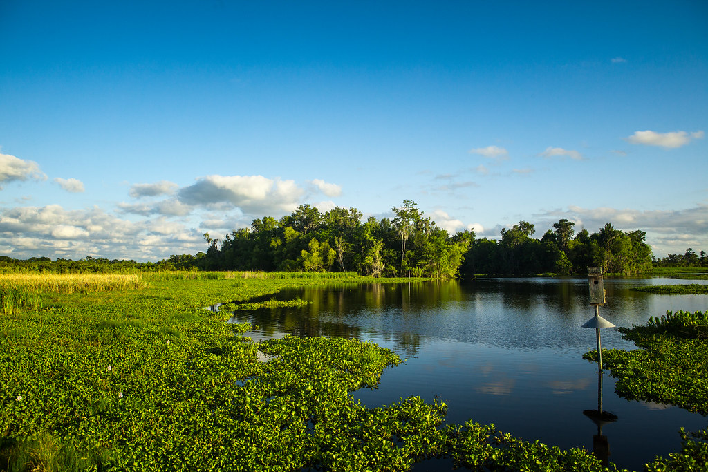 Elevation of Grand Caillou Rd, Houma, LA, USA Topographic Map