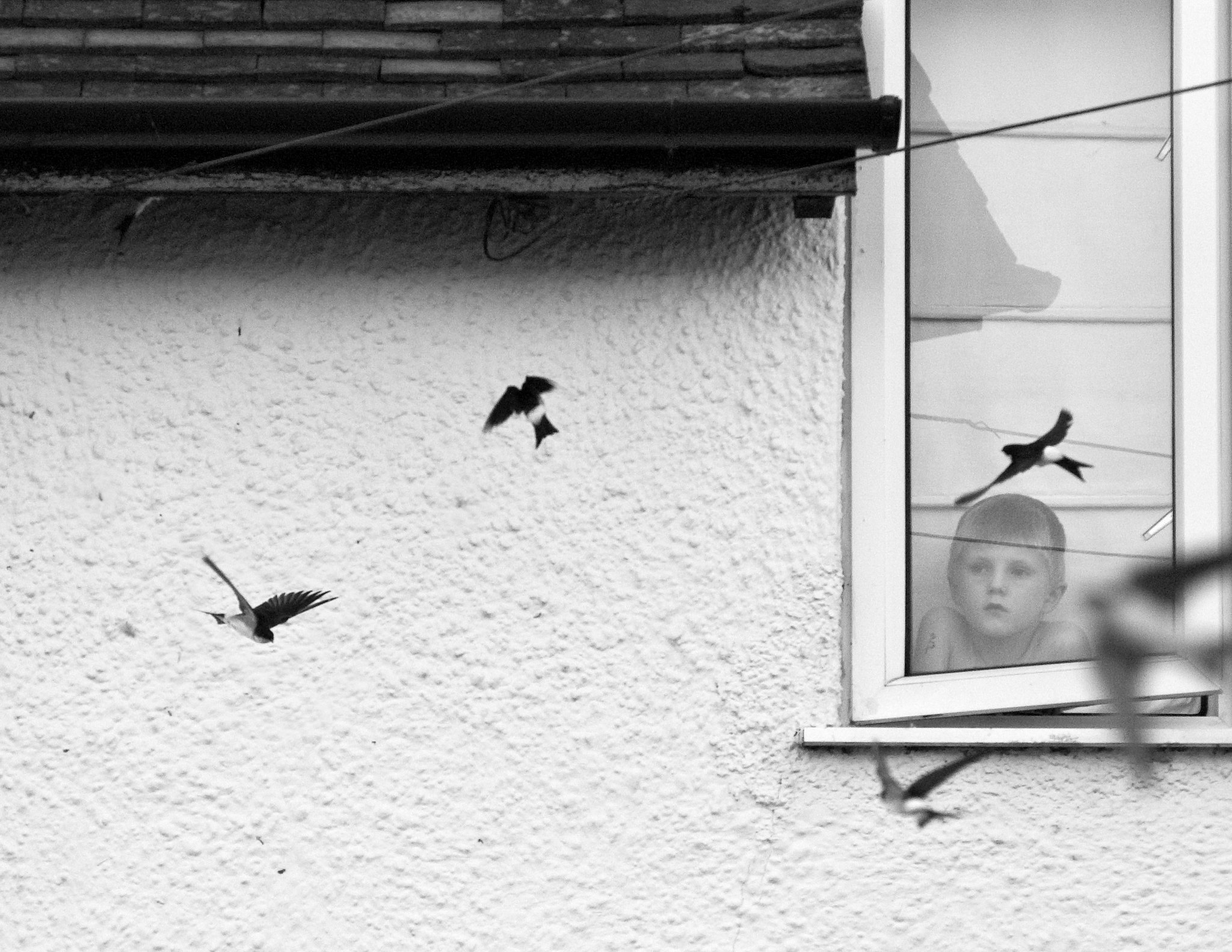 Is that you, (house) Martin? Singletrack World Magazine June 20, 2024