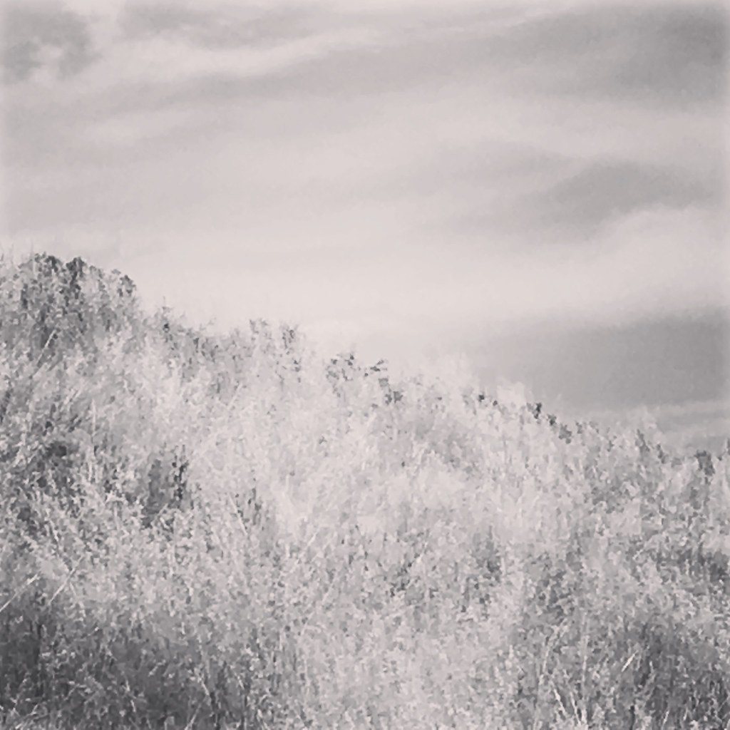 Elevation map of Greater Hume Shire Council, Greater Hume, NSW