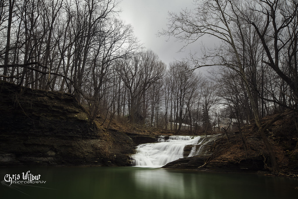 Elevation of Livermore Rd, Forestville, NY, USA Topographic Map