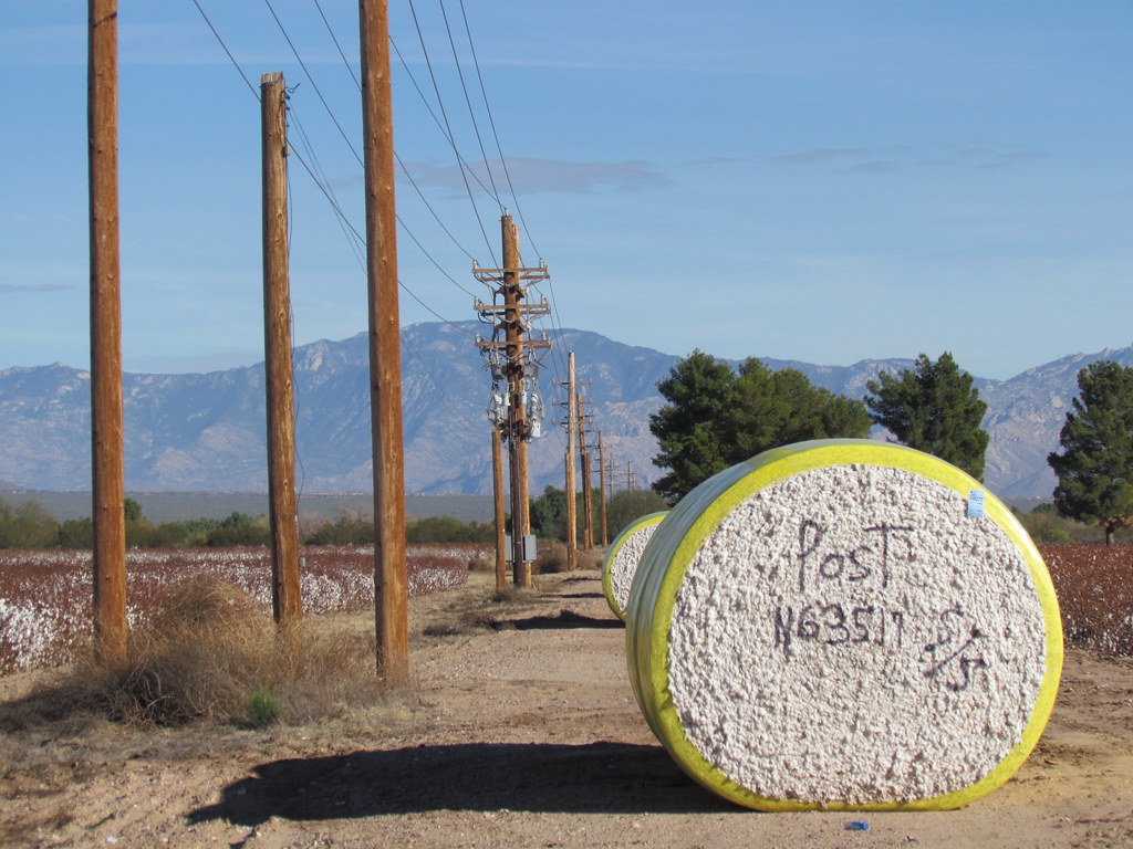 "Bailed Out" 1 round bale=5000 lbs. of cotton! Can't imagi… Flickr