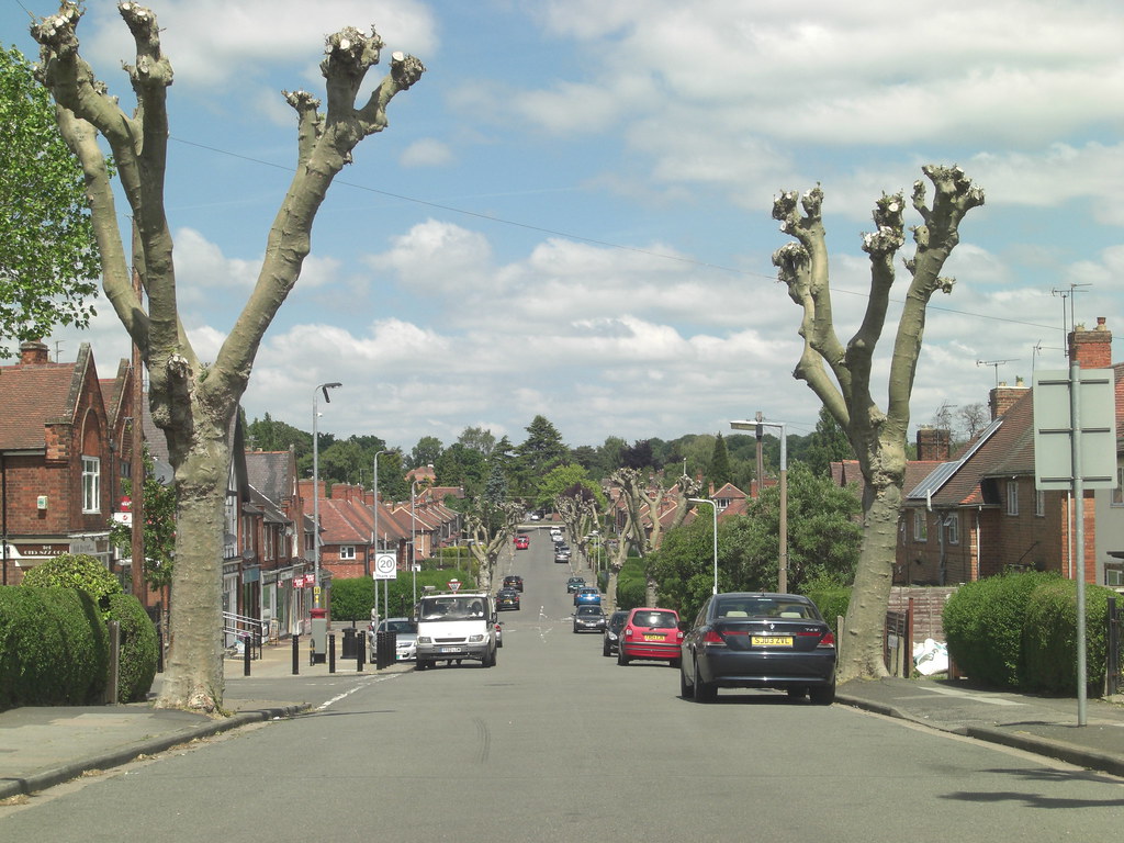 Central Avenue, Beeston, Nottingham Pollarded trees along … Flickr
