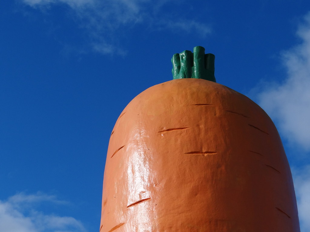Ohakune, capital city of carrot, Waikato, New Zealand Flickr