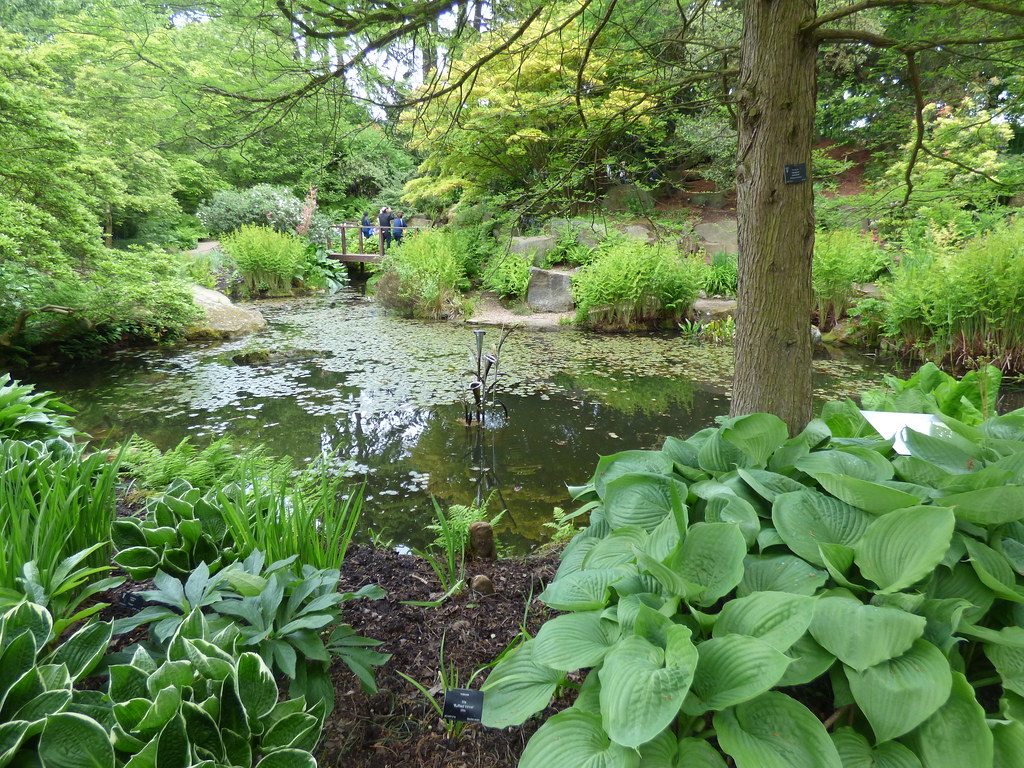 Birmingham Botanical Gardens The Hugh Nettlefold Alpine … Flickr