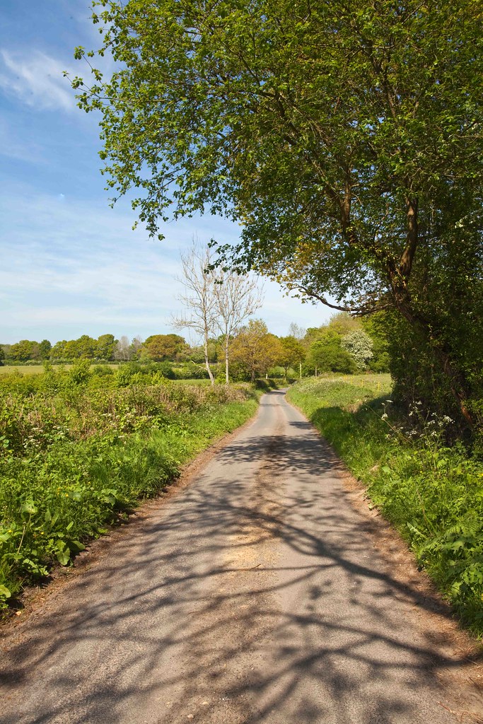 Bell Lane Sussex Beautiful rural country lane just what En… Flickr