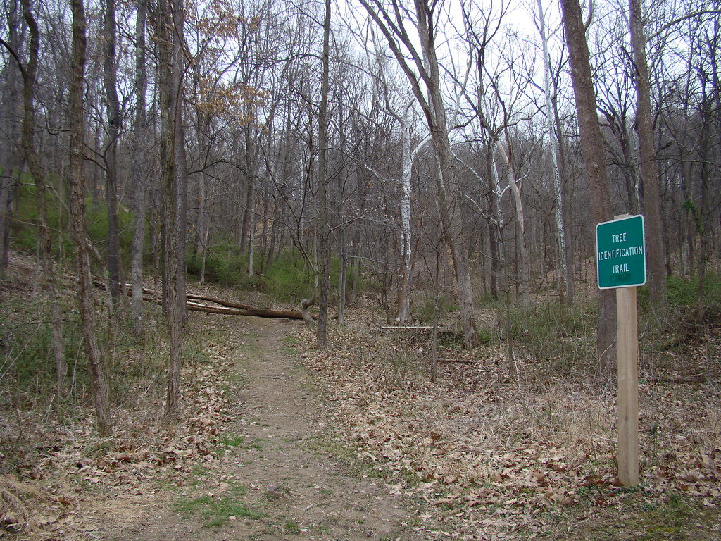 Oldtown Creek Preserve Logan, Ohio Dan Keck Flickr