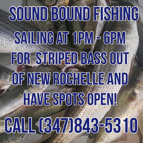 Sound Bound Fishing ⚓️ New Rochelle, NY Sailing today at 1… Flickr