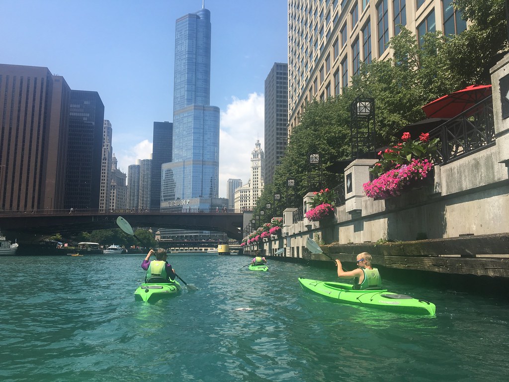 20160802 05 Kayaking on Chicago river David Wilson Flickr