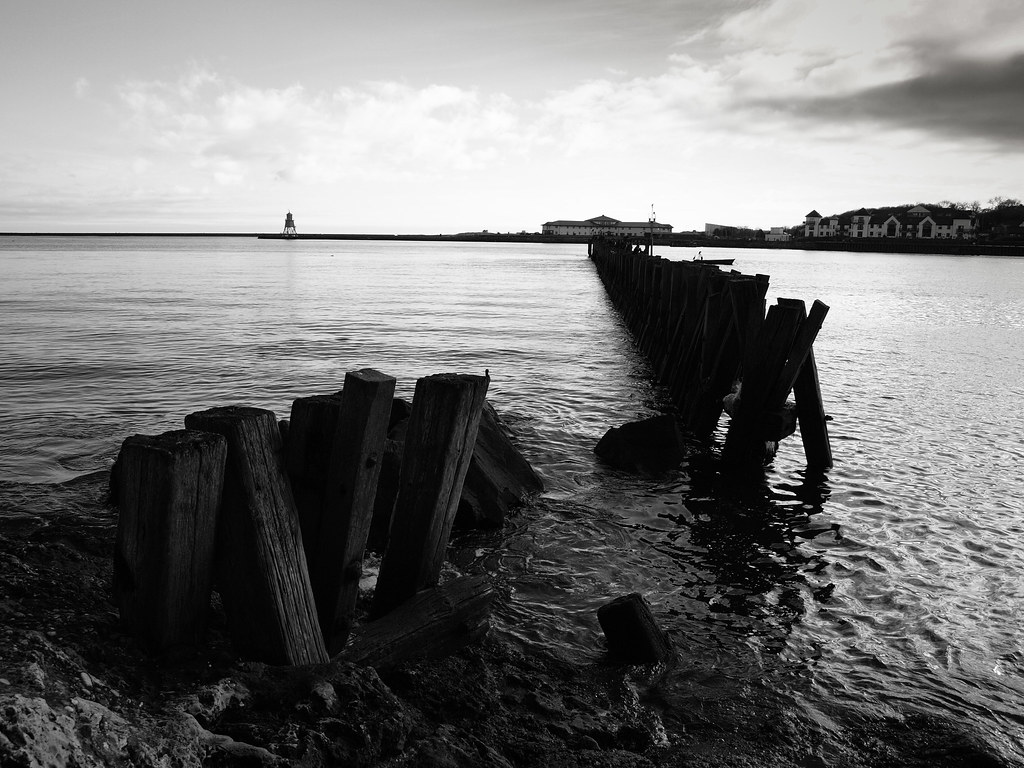 _1080025 OLYMPUS DIGITAL CAMERA Chicha Benitez Flickr