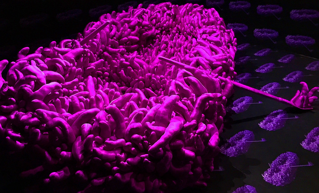 Yayoi Kusama's 'Violet Obsession (1994)' The Hirshhorn … Flickr