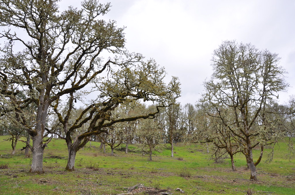 Bald Hill Farm Field Tour CORVALLIS, Ore. (April 20, 201… Flickr