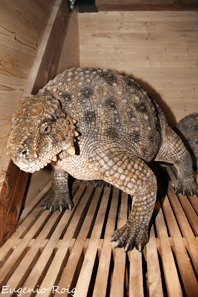 Interior view of Noah's ARK Encounter, Kentucky Animals of… Flickr