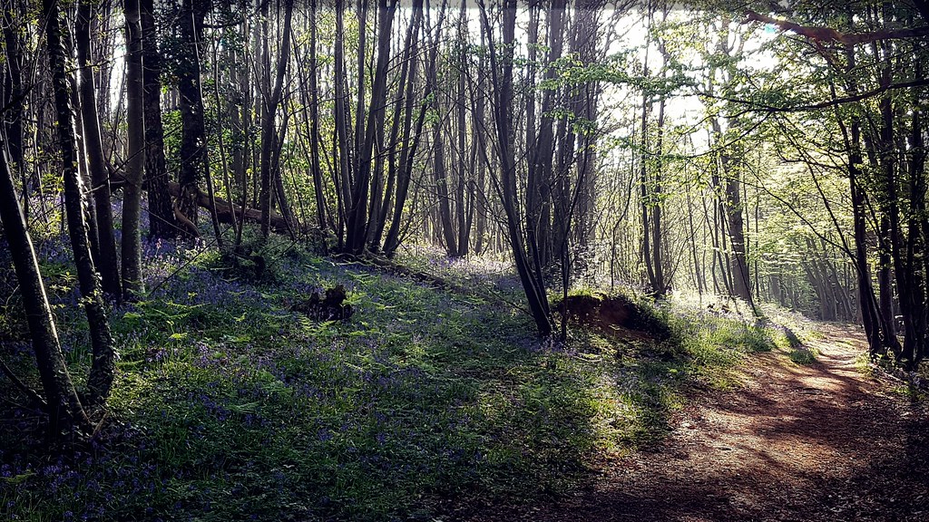 Forewood Crowhurst Arctik Flickr