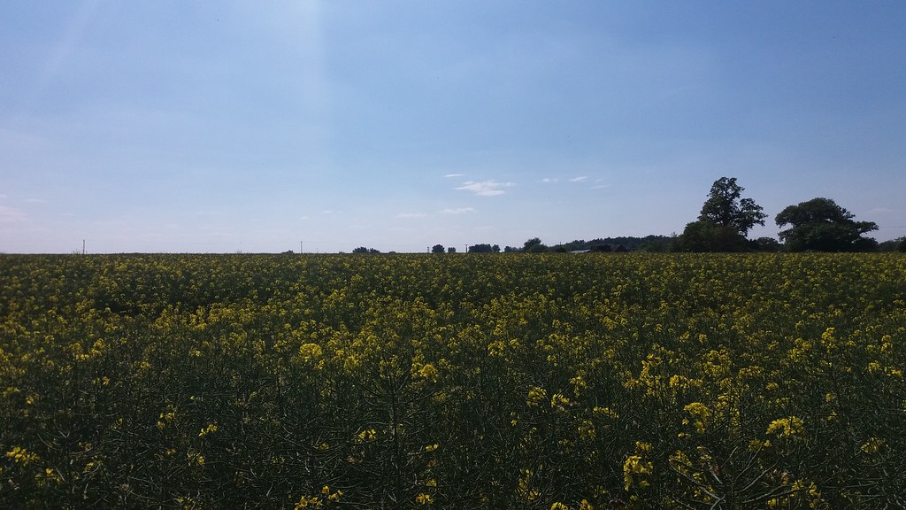 SherfieldonLoddon, Basingstoke Flickr