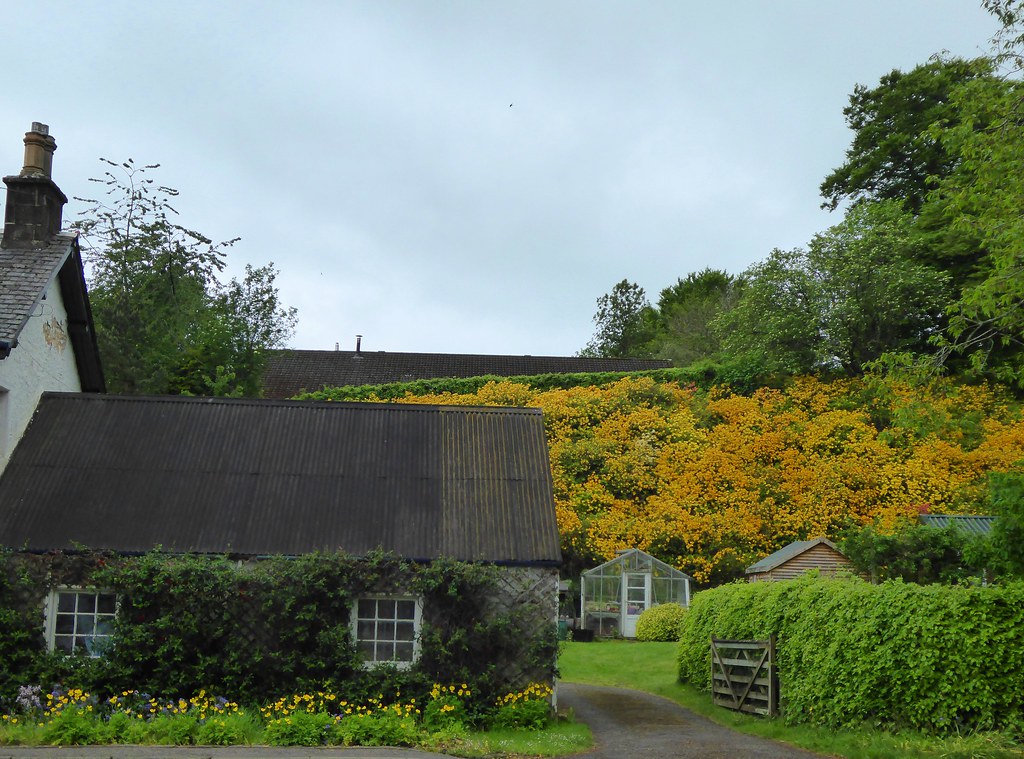 Broughton Gardens Brian Cairns Flickr