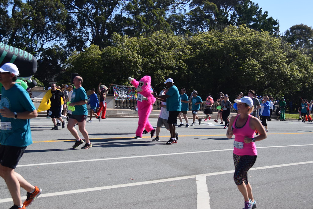 Bay to Breakers 2017 San Francisco Vista Point Guy Flickr