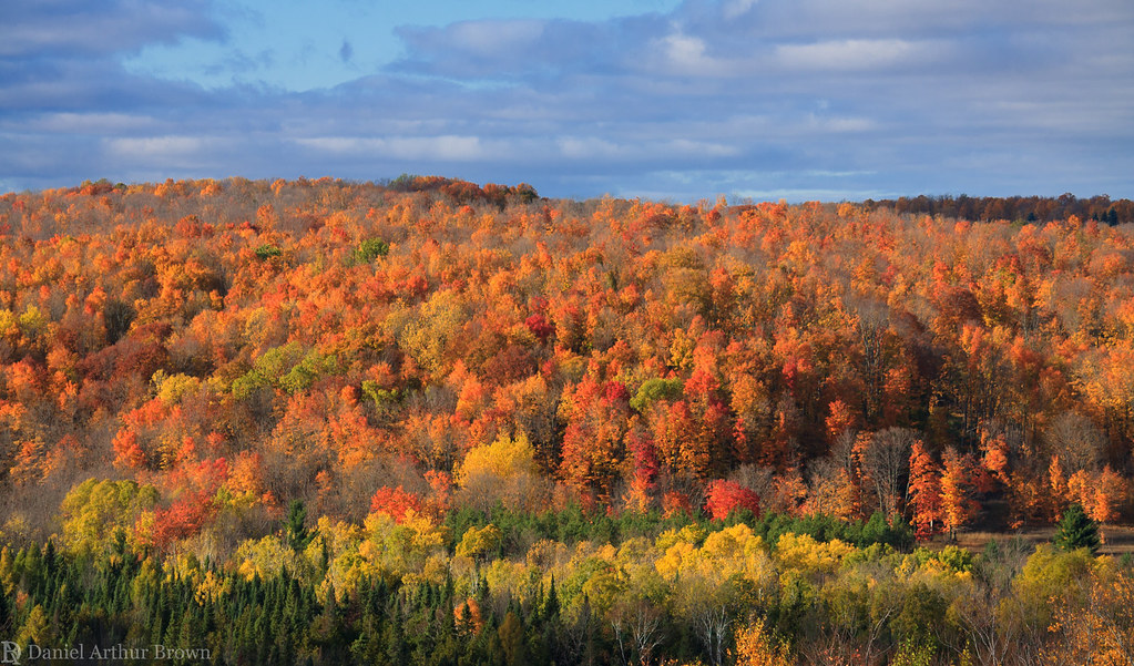 Fall colors from Treetops Resort, Gaylord, Michigan Flickr