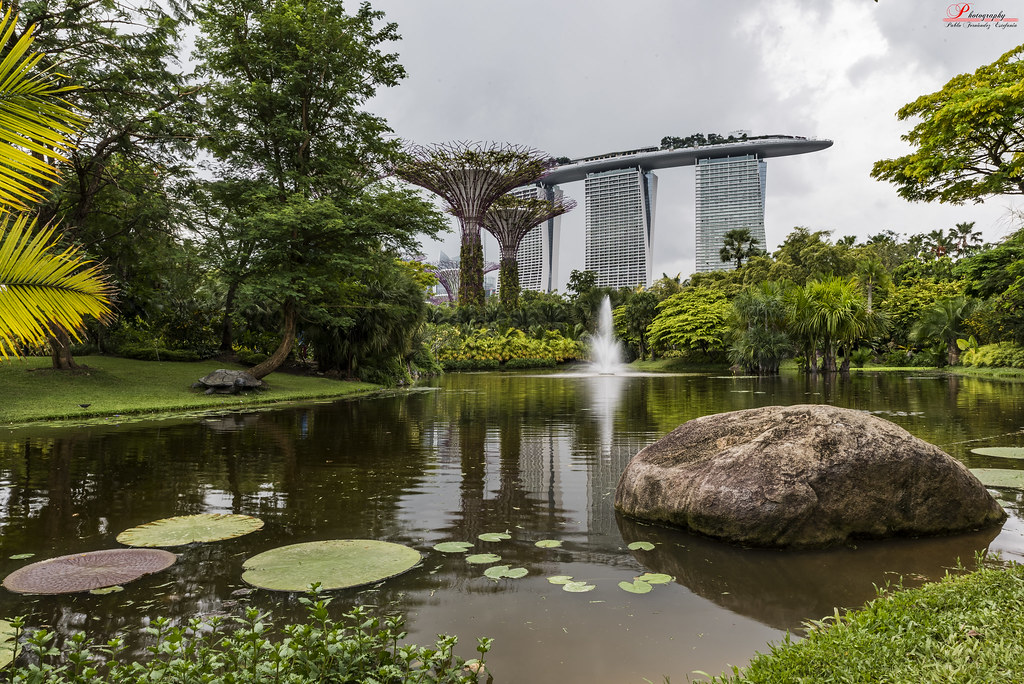 Future Nature Camara / Camera Nikon D750 + Manfroto Befre… Flickr