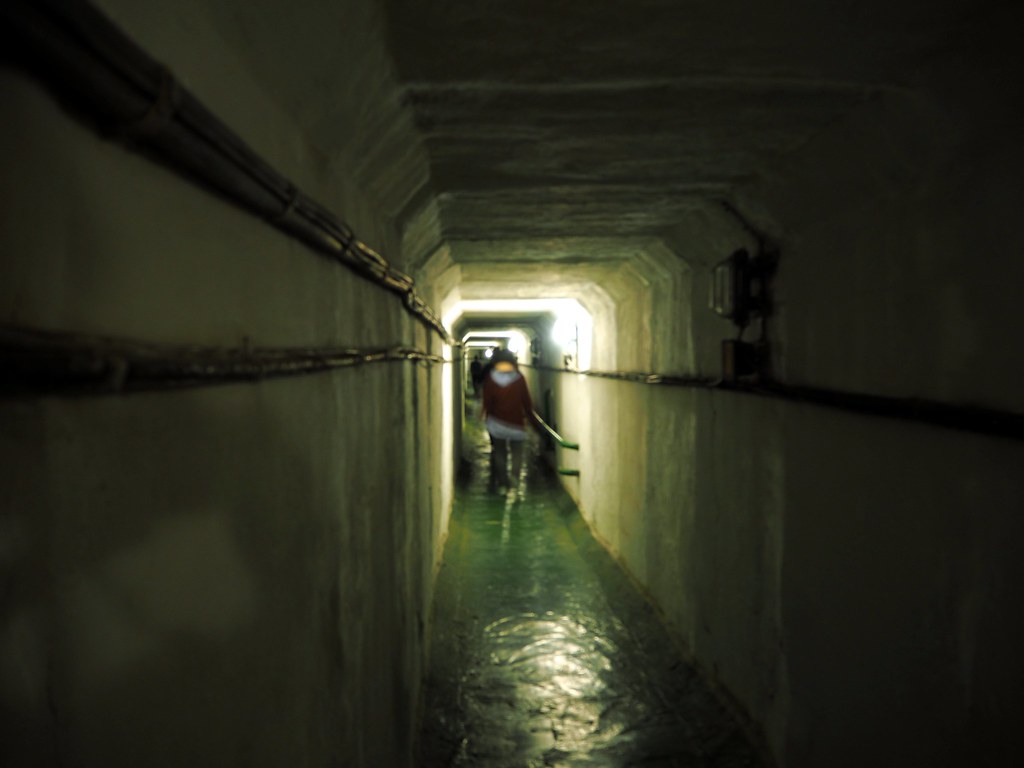 P6034513 long tunnels connect different buildings f0rtytw0 Flickr