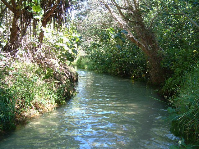 Fraser Island Eli Creek M Soli Flickr