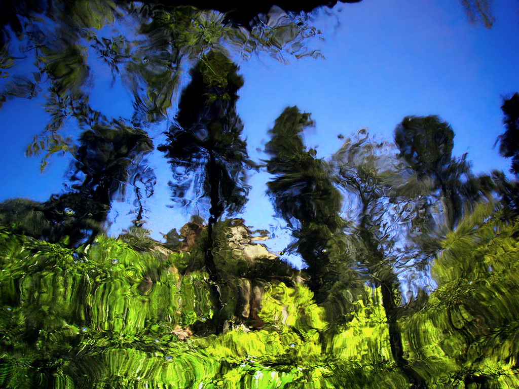 Reflection West Fork of Oak Creek West fork Hike. Reflect… Flickr