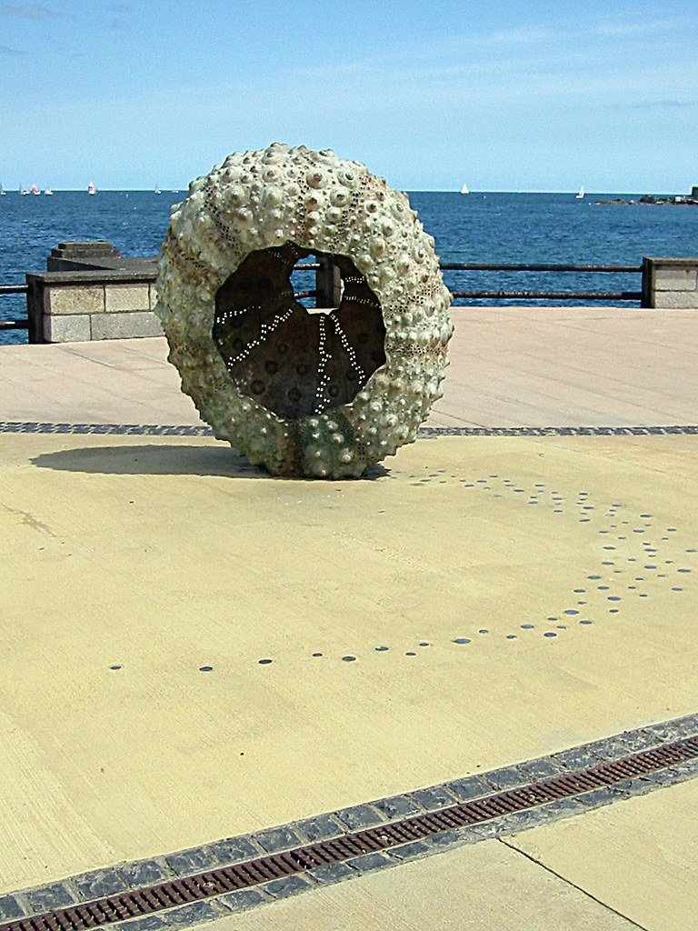 Shell A giant seaurchinshell sculpture in Dún Laoghaire Flickr
