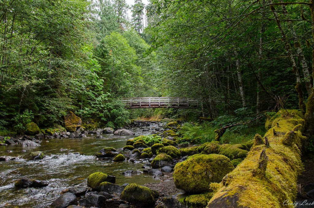 Iron Creek Campground Randle, WA mrcraigs legs Flickr