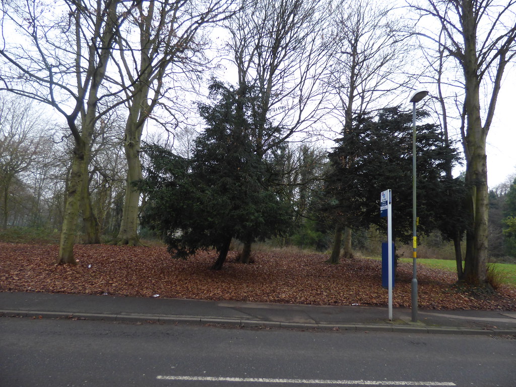 Sutton Park Clifton Road, Sutton Coldfield a photo on Flickriver
