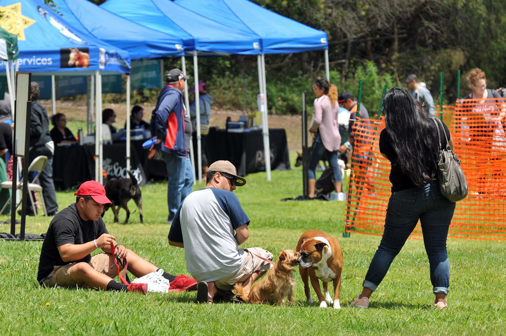 PAWS Community OutreachVista Flickr