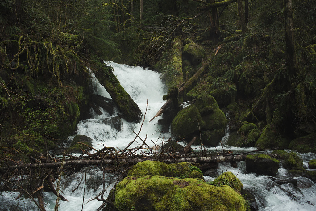 Hidden Falls A hidden set of falls in the Colombia River G
