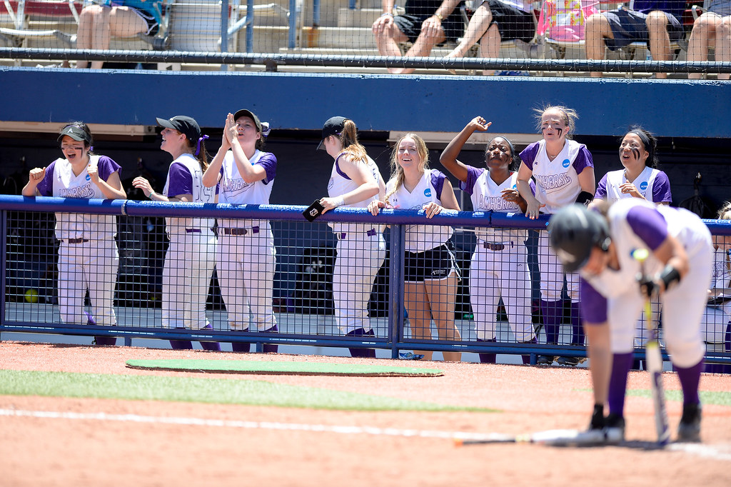Amherst Softball 2017 NCAA DIII Softball Amherst Mammoths Flickr