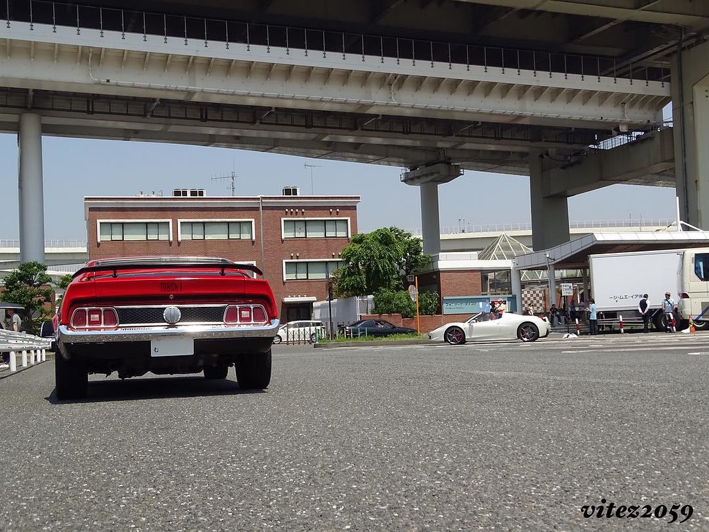 Top 20 Most Popular mustang 2059