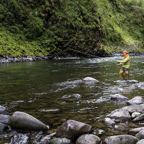 Molalla River Bob Wick BLM National Fish Habitat Partnership Flickr