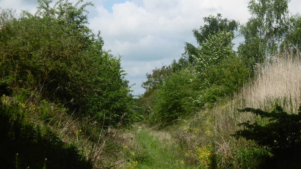 Railway cutting, Buttermilk Lane, Bolsover (Staveley Bol… Flickr