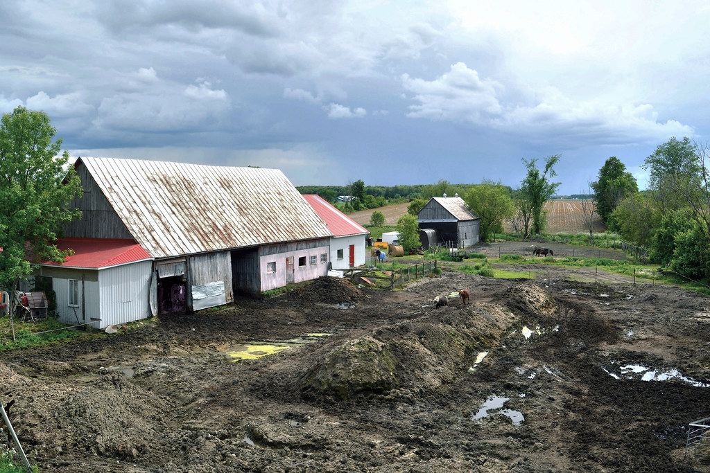 To Dream * SaintJacquesdeMontcalm, Québec, Canada * E… Flickr
