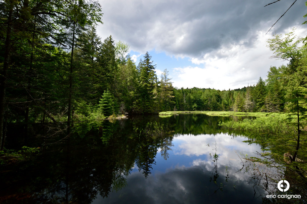 Lac au foin Aux berges du Lac Castor, SaintPaulin, Québec… Flickr