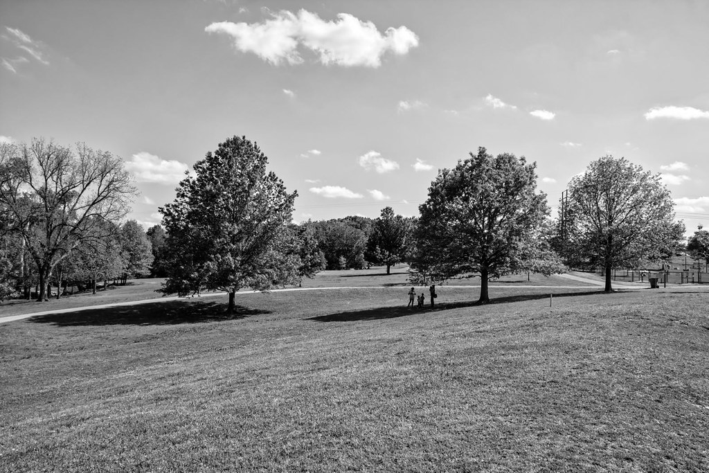 Hunter Park BW I took Nearly Perfect and then used DxO Fil… Flickr