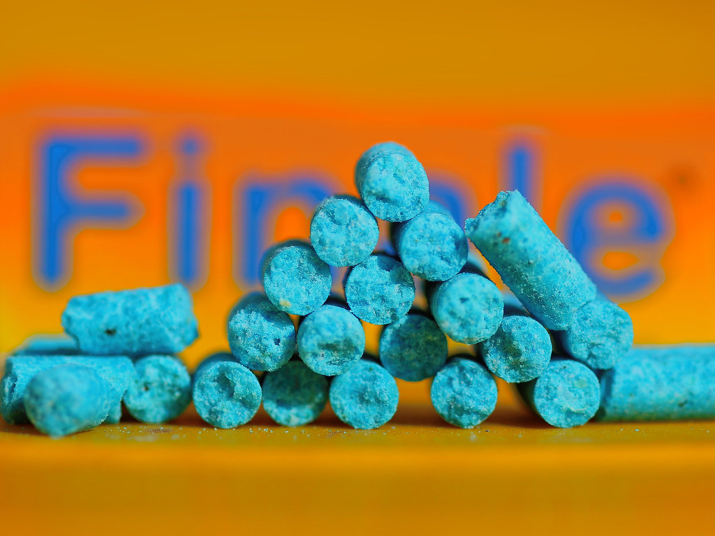 rats beware.... rats beware, finality is only one blue chi… Flickr