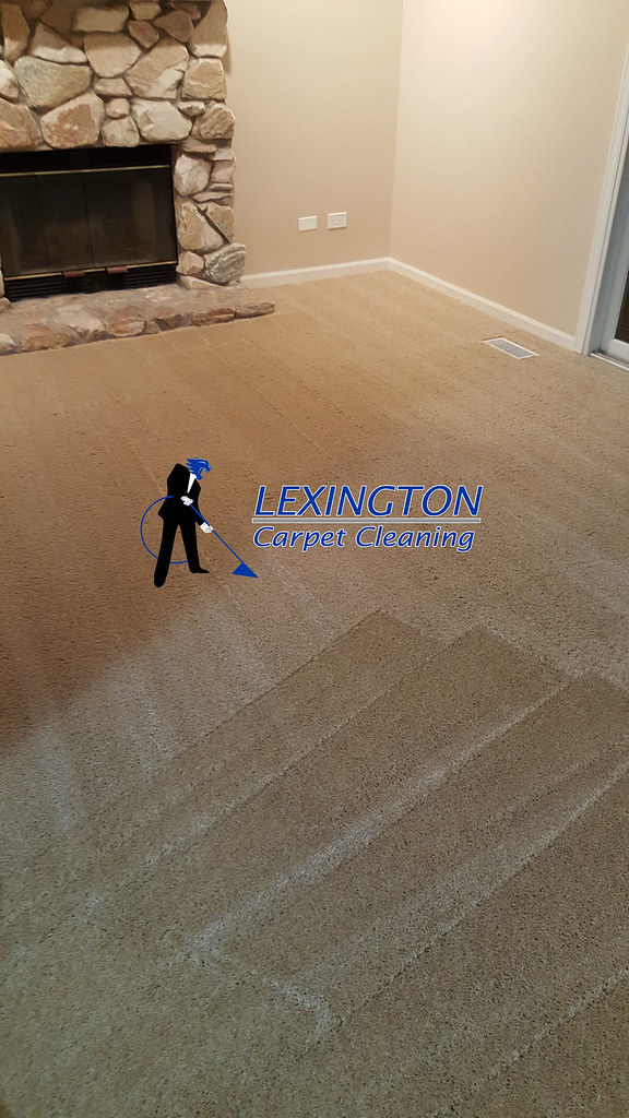 Carpet Cleaning Lexington, KY carpetcleaninglexingtonky.or… Flickr