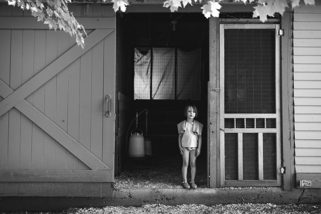 180 365 Standing in the chicken coop Three Little Birds Flickr