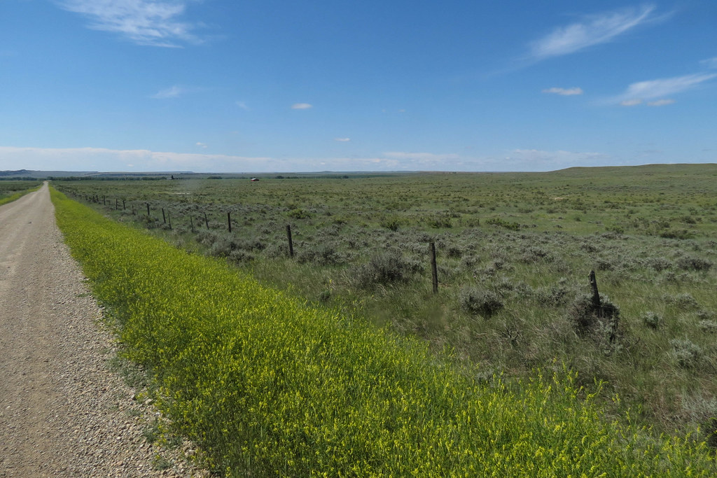 East Red Hill Road Lavina, MT, in June. The light patch on… Flickr